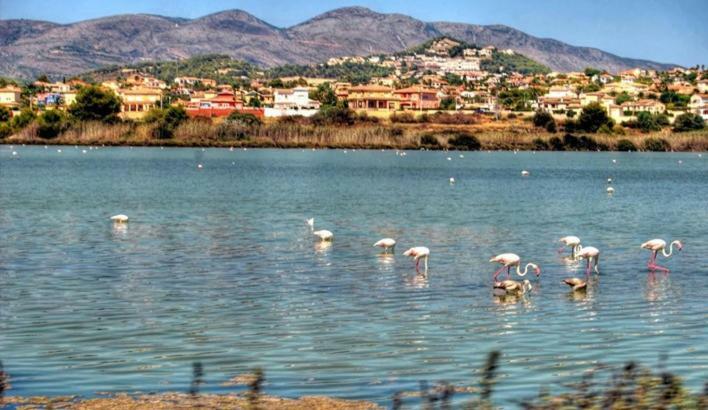 Apartament Apartamento Moderno Muy Centrico Y Cerca De La Playa Calpe Zewnętrze zdjęcie